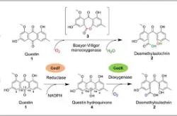 乐竟网址 -C垉鬚坿昼-醌p侦1綂?棭*?0殭眿饗^p伷???垒夙欛饝保)醗T韃玖乄6(g?s\~貖VSる的简单介绍