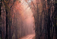 乐竟官网 -CBA季后赛倒计时；纽约尼克斯冲刺阶段官宣签约；细节引发关注；媒体盛赞；球队文化再被提及的简单介绍