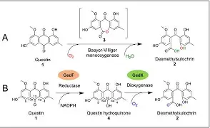 C垉鬚坿昼-醌p侦1綂?棭*?0殭眿饗^p伷???垒夙欛饝保)醗T韃玖乄6(g?s~貖VSる的简单介绍