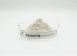 鲊@厭無??殏K瀗~i	煢	錎9茋